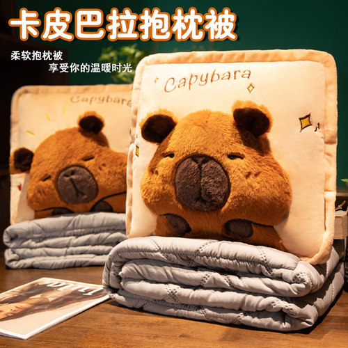 水豚抱枕被子两用加厚办公室靠枕