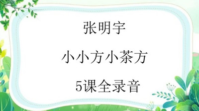 张明宇小小方小茶方舌诊5集全录音空间医学空间舌诊