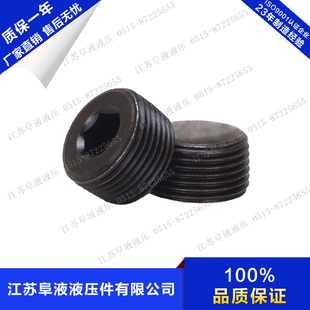 JB4446/4447内六角堵头油塞 锥管螺纹 螺堵 闷头螺塞ZG NPT RC PT