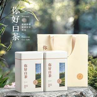茶叶罐密封罐旅行马口铁茶罐空罐子铁盒便携茶叶盒空盒精致小茶盒