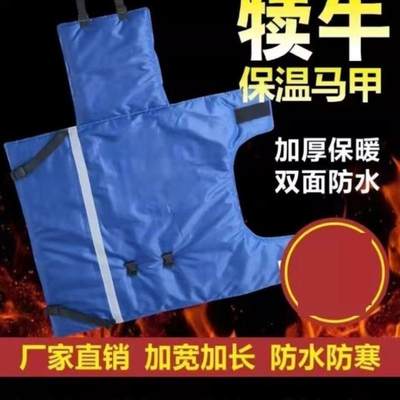 防寒加厚防风牛犊防水加大加厚新生防寒犊牛马甲小牛保暖外套防水