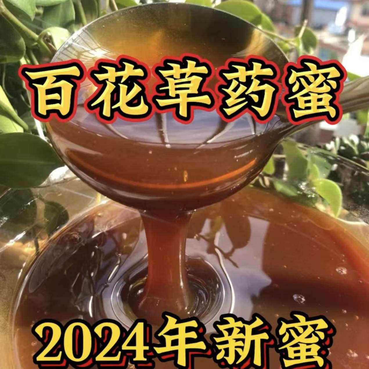 陇南土蜂蜜草药蜜苦蜂蜜黄连连翘党参黄芪花粉