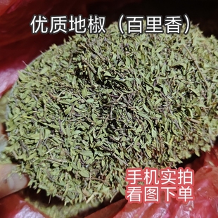 陕西陕北地椒叶百里香炖羊肉去膻增香地花椒百里香山椒山胡椒调料