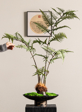 中式文竹仿真花绿植古风客厅电视柜摆件高级仿生花禅意餐桌花摆设