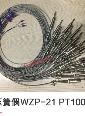 林红机电屏蔽压簧偶WRE-21感温器优质探头热电偶PT100型温度探头