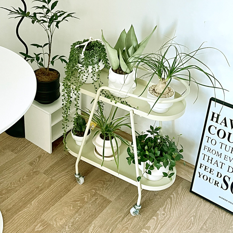 传家红奶油风可移动花架