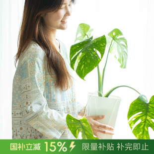 阳春小镇蒙特堡 城墙家居服睡衣女套装 纯棉薄款 复古风高级感夏季
