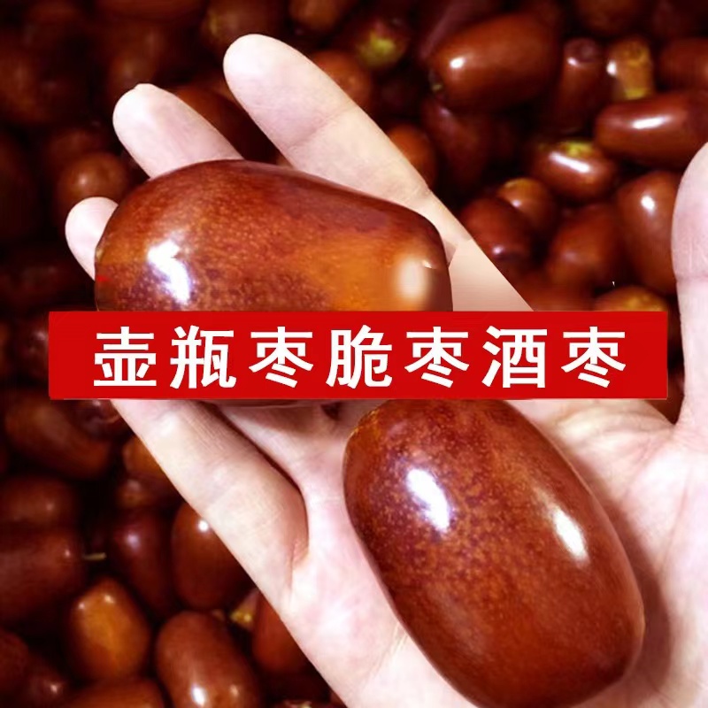 酒枣醉枣新鲜红枣酒醉枣 山西特产糖心酒枣 粮食酒腌制壶瓶枣包邮