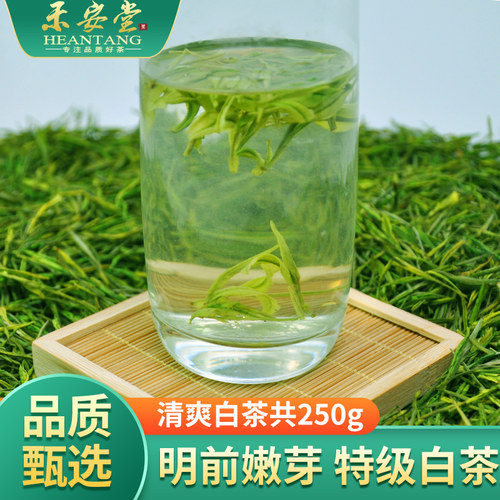 禾安堂安吉白茶官方旗舰店2026年新绿春茶叶明前特级自己喝共250g