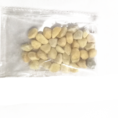 dollhouse娃娃屋场景小石头建筑