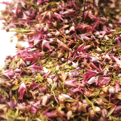 派淇汏娃娃屋模型庭院迷你树叶