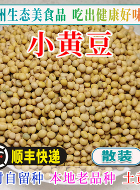 贵州农家小黄豆自留种小颗粒土黄豆非大豆非转基因大山里的老品种