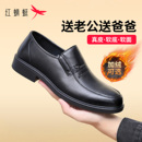 公商务真皮软底舒适一脚蹬中老年爸爸鞋 秋冬款 休闲皮鞋 红蜻蜓男士
