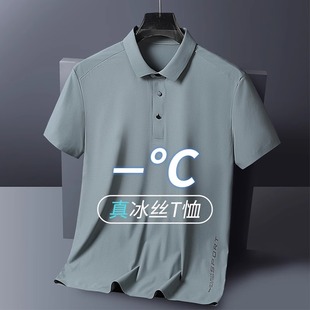冰丝短袖 速干上衣服夏季 2025夏装 t恤中年男士 男 新款 父亲节Polo衫