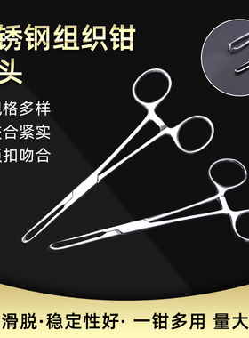 包邮不锈钢组织艾丽斯夹持
