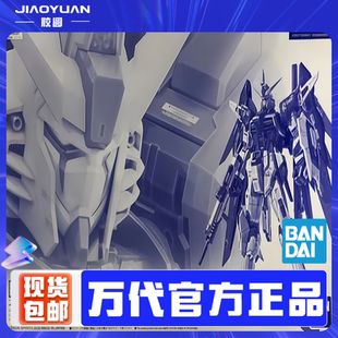 现货 万代 PB限定 RG SEED 机动战士 命运高达 钛电镀版 拼装模型
