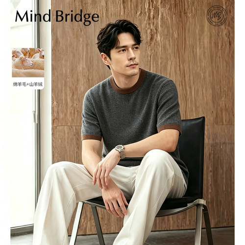 MindBridge
