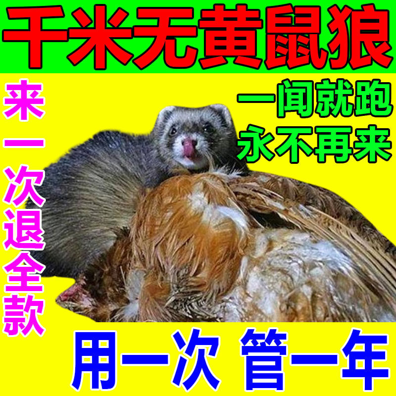 养鸡舍防黄鼠狼克星驱赶神器室内外养殖场鸡鸭驱赶吓黄鼠狼专用药,洗护清洁剂/卫生巾/纸/香薰,驱鼠膏/凝胶,淘宝优惠券,粉丝福利购,淘宝优惠卷