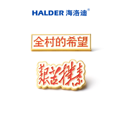 海洛迪考试必胜送朋友徽章胸针