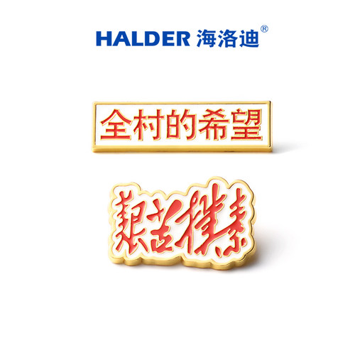 海洛迪考试必胜送朋友徽章胸针