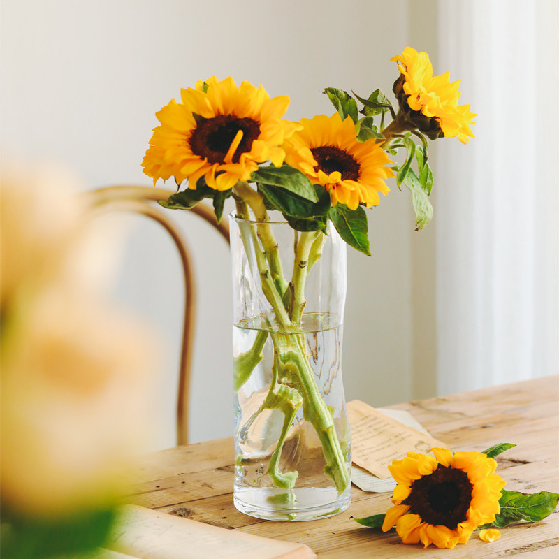 大号鲜花花瓶富贵竹玻璃花瓶