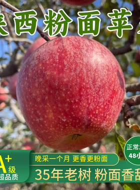 陕西秦冠粉面苹果新鲜老人小孩婴儿宝宝刮果泥吃喜欢吃的10斤整箱