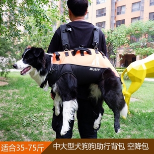 新款 户外助行宠物宠物外出包自 双肩背带大型犬背包便携式