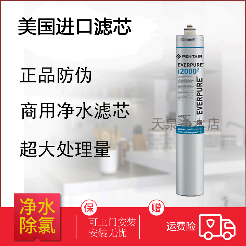 美国爱惠浦I20002净水器I40002家用过滤器直饮机滤芯商用更换耗材