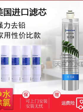 美国爱惠浦H104主滤芯H100净水器滤芯 家用厨房过滤器直饮机包邮
