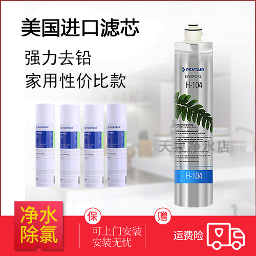 直饮机净水器滤芯滨特尔爱惠浦