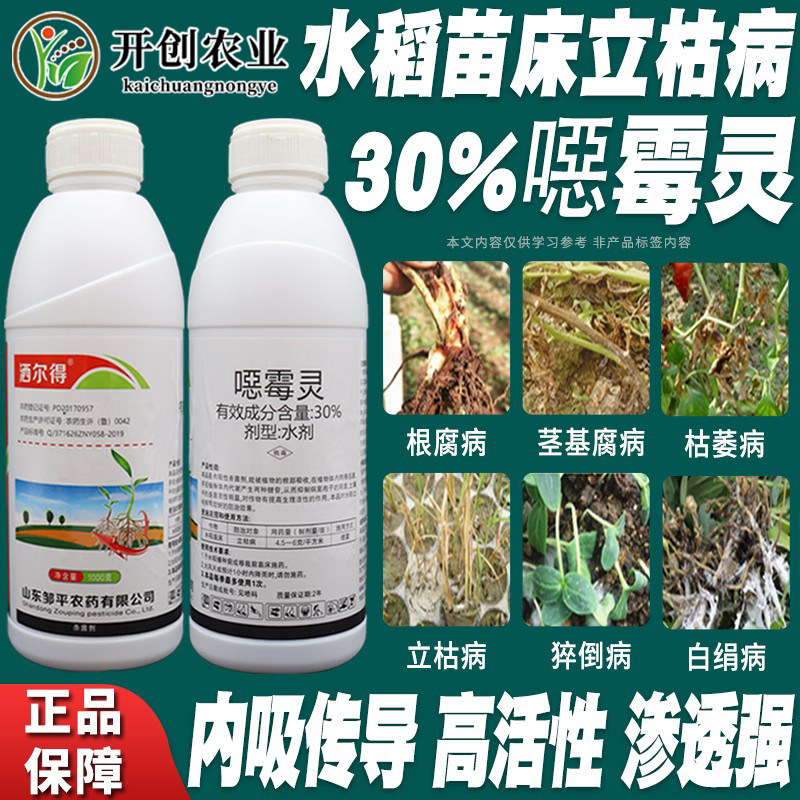 30%噁霉灵水稻苗床立枯病图片