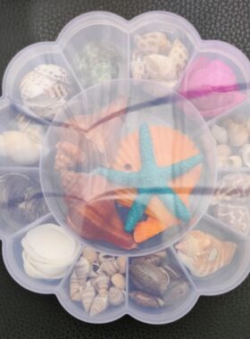 北海天然小海螺贝壳海星塑料盒装套装海边旅游纪念品手伴礼礼物