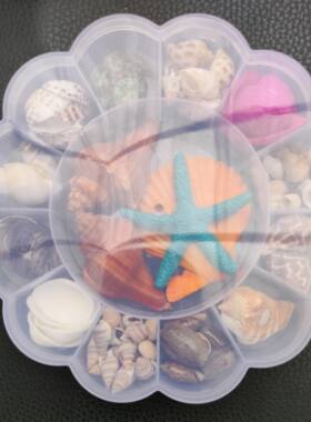 北海天然小海螺贝壳海星塑料盒装套装海边旅游纪念品手伴礼礼物