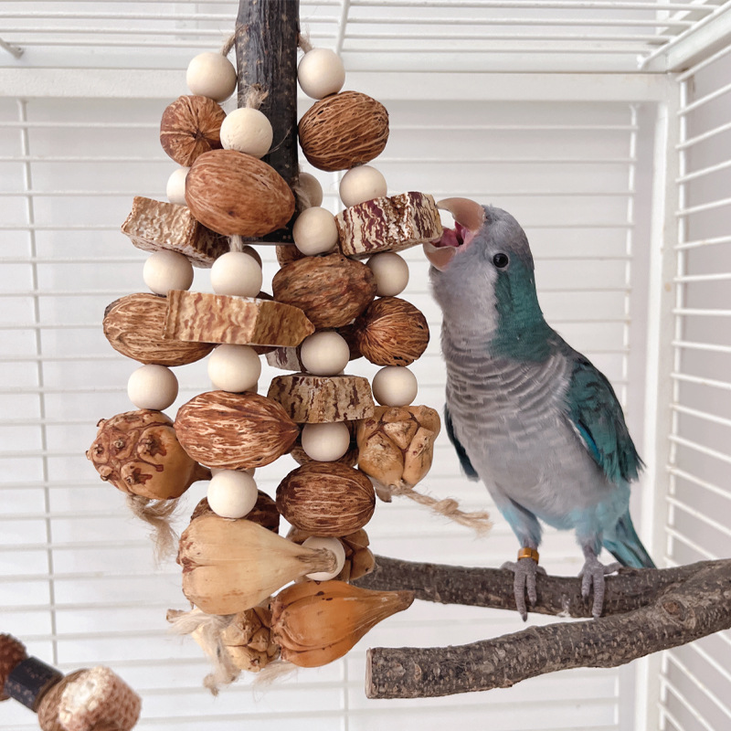鹦鹉中大型藤球杨桃坚果啃咬玩具