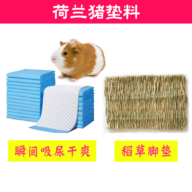 荷兰猪专用隔尿垫厕所尿不湿垫料