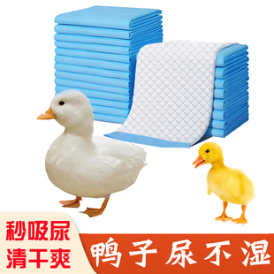 小鸭子专用尿不湿尿垫尿片尿布科尔鸭柯达鸭专用笼子垫料宠物用品