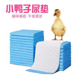 宠物小黄鸭柯尔鸭柯达鸭专用笼子垫料小鸭子专用尿不湿尿垫科用品