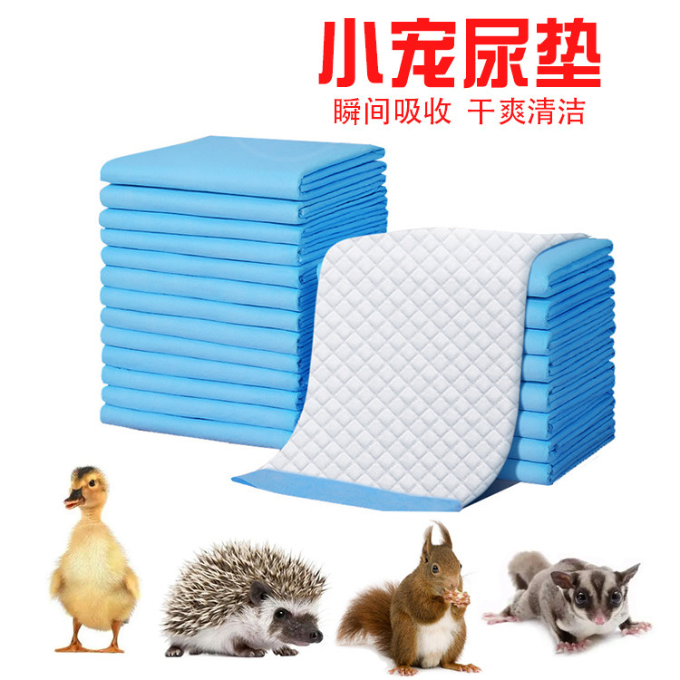 宠物隔尿垫尿片尿不湿除臭垫料柯尔小鸭子松鼠蜜袋鼯刺猬幼崽用品