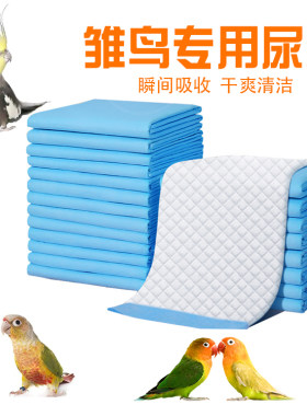 鹦鹉雏鸟垫料保温箱屎兜半毛玄凤