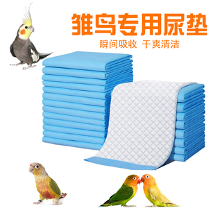 鹦鹉雏鸟垫料保温箱饲养尿垫屎兜牡丹半毛玄凤和尚小太阳幼鸟用品