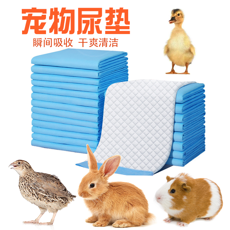 宠物专用隔尿垫尿不湿除臭笼子