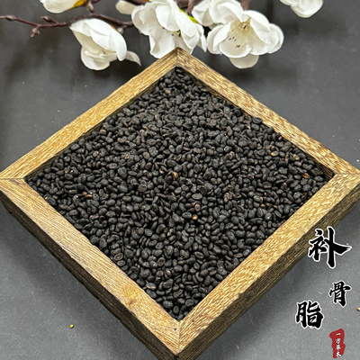 补骨脂中药材补骨脂破故纸500g