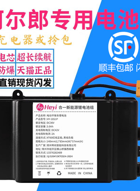 阿尔郎电动平衡车锂电池合一36v通用安派新能源42v电瓶组原装配件
