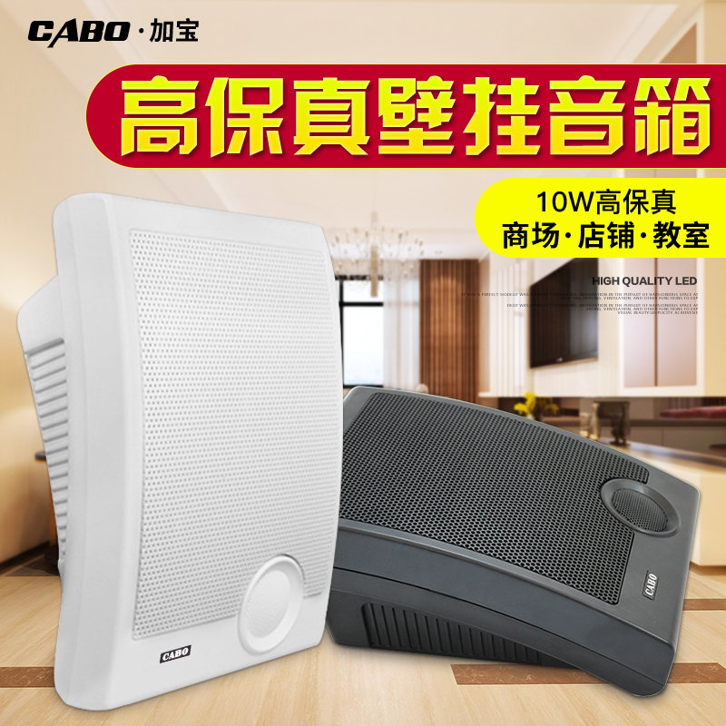 教室店铺壁挂音箱背景音乐系统