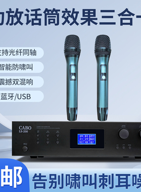 CABO加宝LS-200功放机2通道智能防啸叫蓝牙USB专业合并式音响