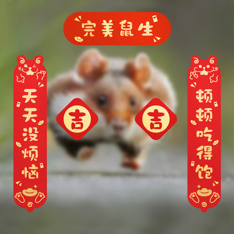 2026新年仓鼠屋春联宠物小门联对子大门贴鼠窝喜庆装饰鼠对联烫金,节庆用品/礼品,对联,淘宝优惠券,粉丝福利购,淘宝优惠卷
