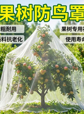 新款防鸟罩抗老化果树专用神器