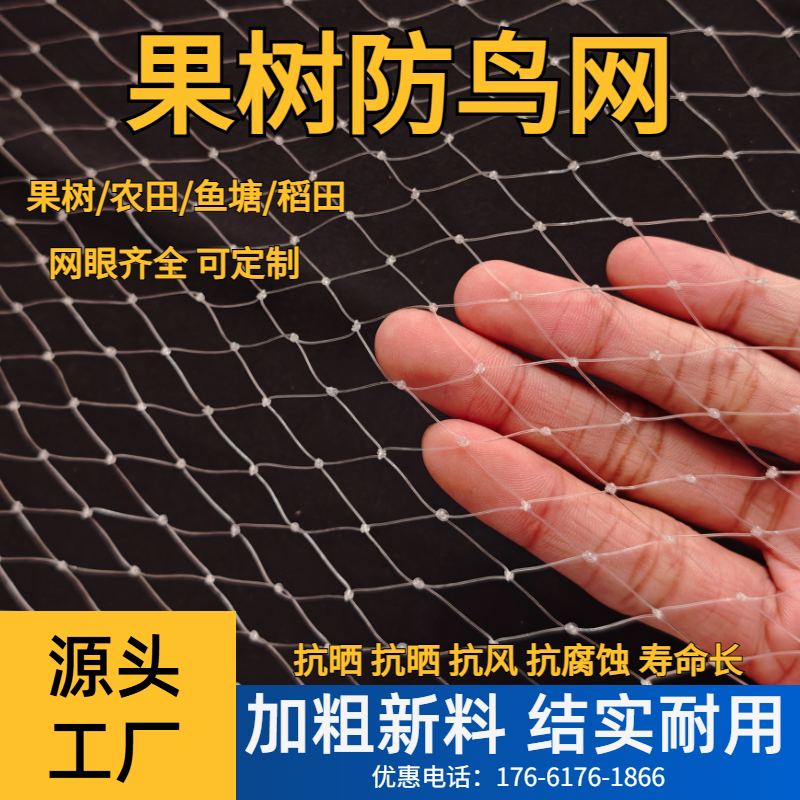 果园防鸟的网围网驱鸟果树防护丝户外大棚阳台护保护用网专用神器