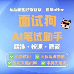 interviewcoder 线上辅助 直接拍自动发货 AI笔试辅助 AI笔试助手