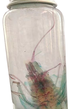 透明工艺品玄关桌面摆件